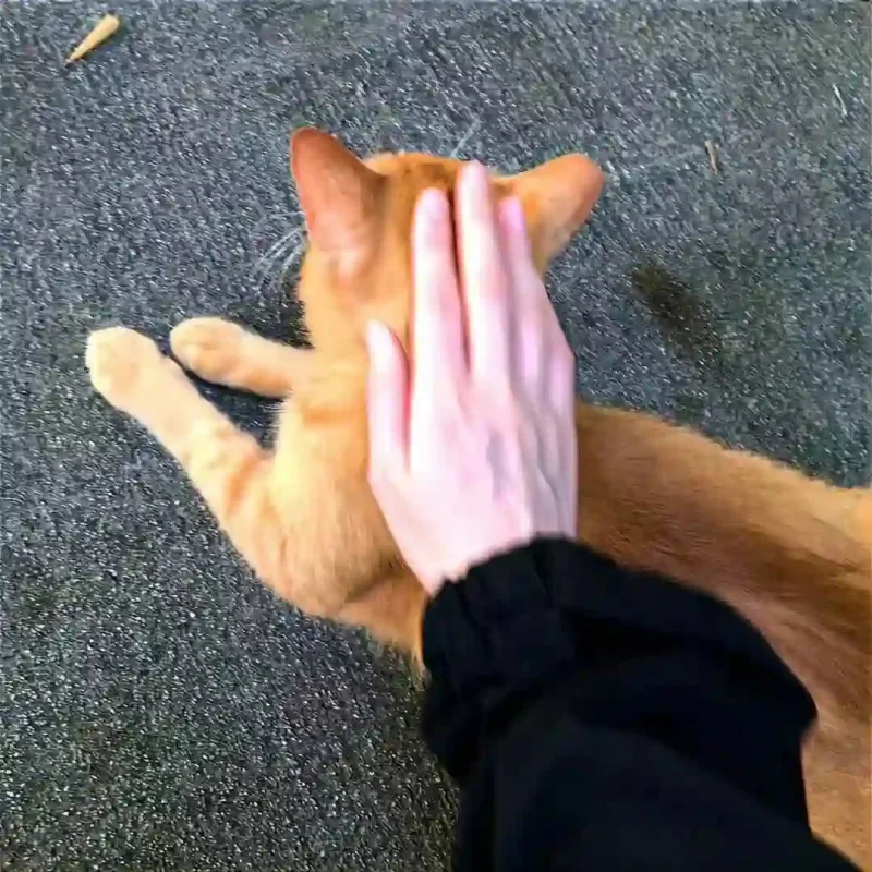 

4 шт. ZD Racing RC автомобильный амортизатор комплект амортизаторов для 1/7 RC Losi Mojave DBX-07 Desert Buggy металлические передние и задние детали радиоуправляемого автомобиля