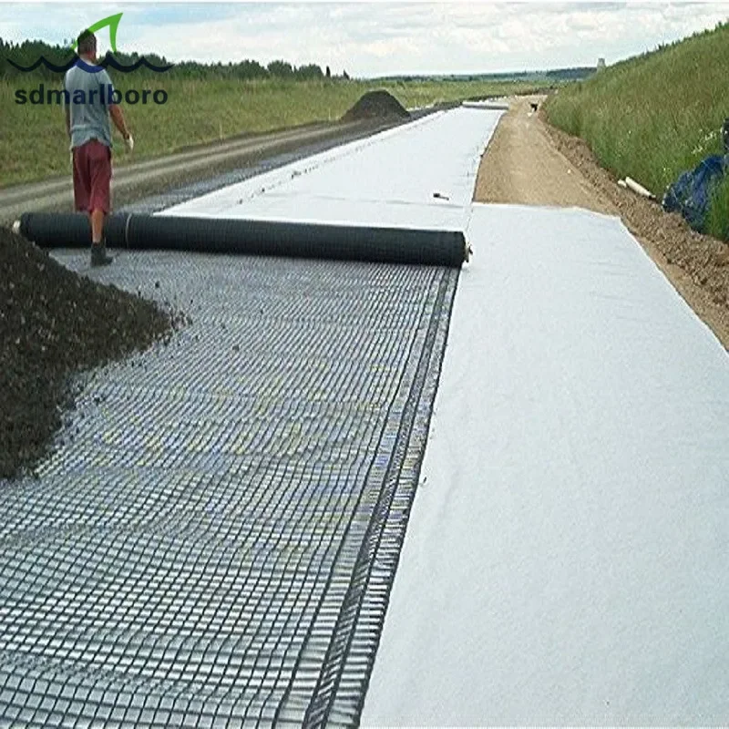 

【Best-selling】Polyester Non Woven Geotextile 300g for Slope Protection Road Construction Dam Liner Geotextile