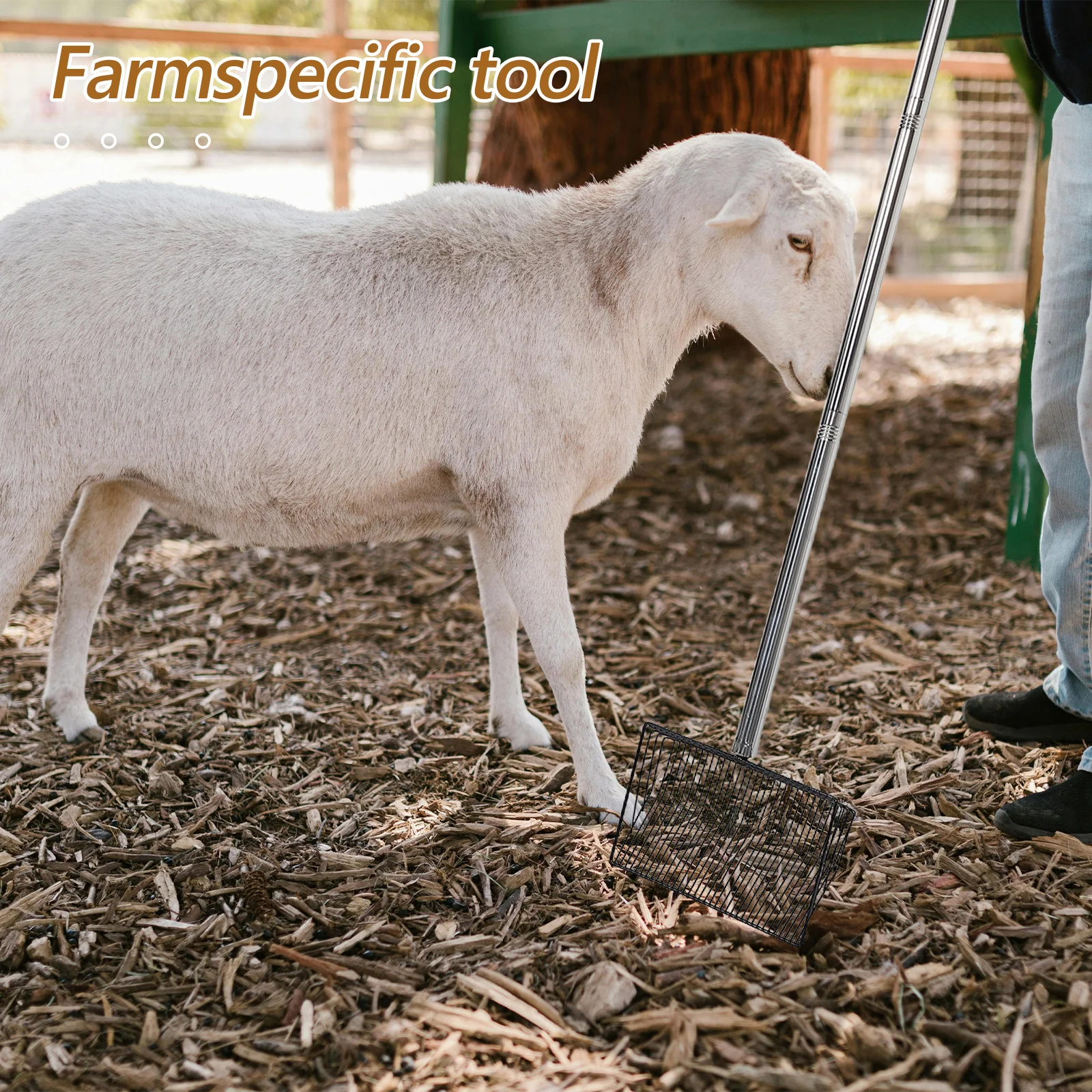 

Durable Metal Scooper Long Handle Shovel for Farm Pet Cattle Waste Cleaning Wide Litter Scoop Compost Sifter