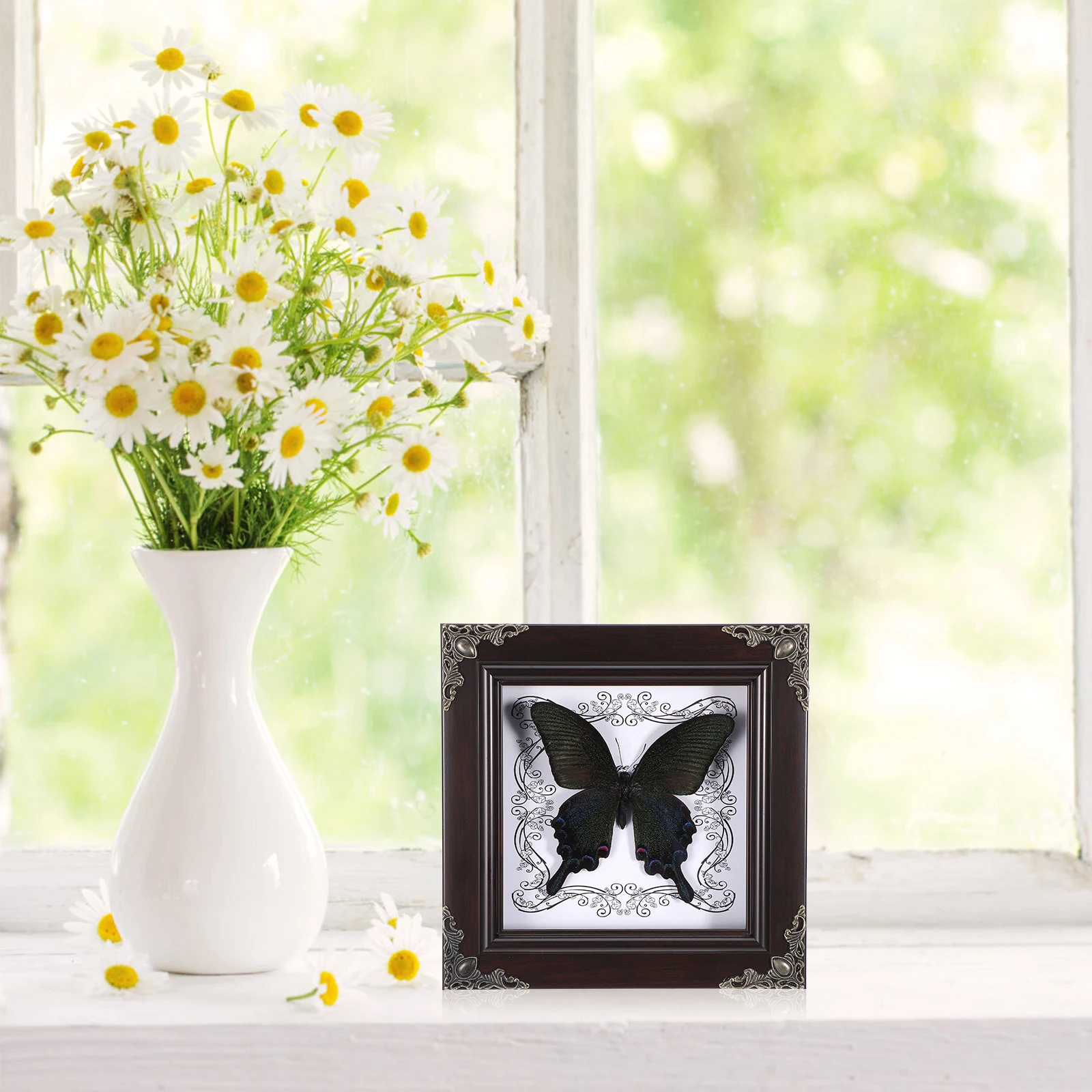 

Vintage Butterfly Specimen Home Decor Wall Hanging Display Framed Art Desk Decoration Specimen Display Household Desktop