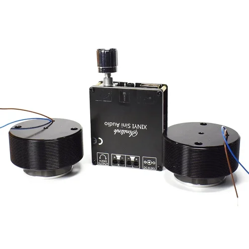 Imagen 2 del producto 1 Juego de altavoz de vibración HIFI 50W 2,0 altavoz de Audio estéreo portátil Bluetooth 5,0 sistema amplificador Clase D DIY Home Theater