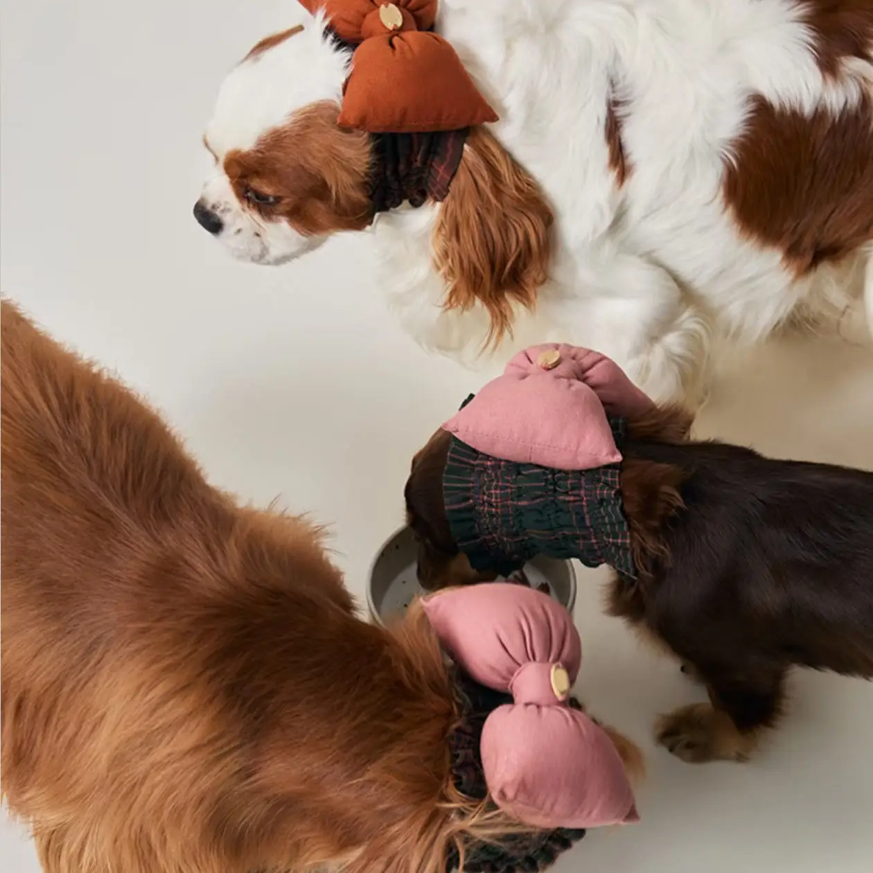 Gorro transpirable con lazo para perros pequeños, antisuciedad