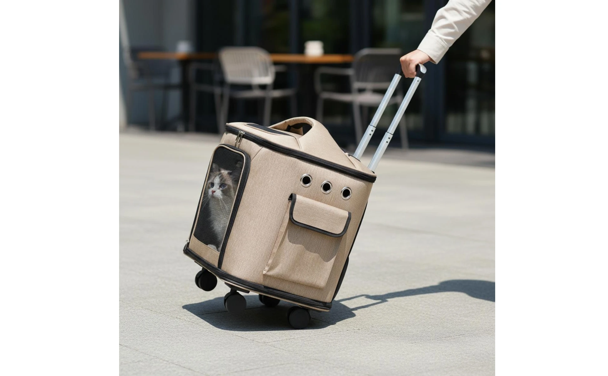 Rolling Pet Carrier Quiet Wheels Feline Carrier Suitcase Feline Travel Bag Multiple Carrying Options Easy to Clean for Outdoor