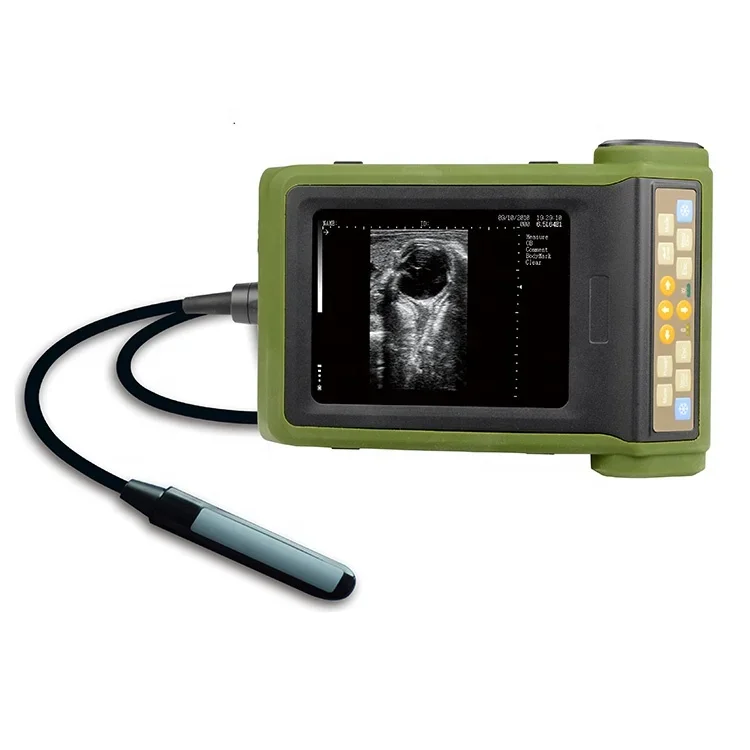 Veterinary Diagnostic Ultrasound Scanner RKU-10 Portable Animal Ultrasound Machine for Sale