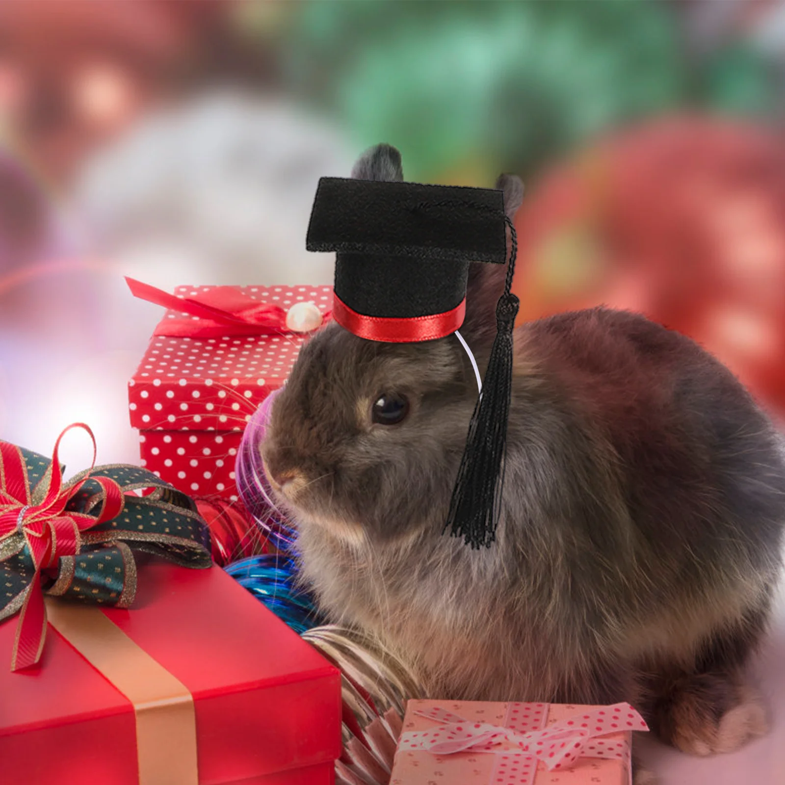 

Mini Pet Graduation Cap for Hamster Small Animal Hat Chinchilla Guinea Pig Soft Comfortable Decorative Headwear Great for Photos