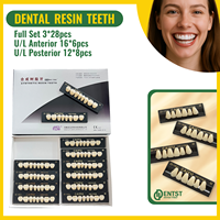 Dental Synthetic Resin Teeth Dientes Acrílicos Acrylic Upper Anterior Lower Posterior Teeth synthetic resin teeth A1 A2 A3 96PCS