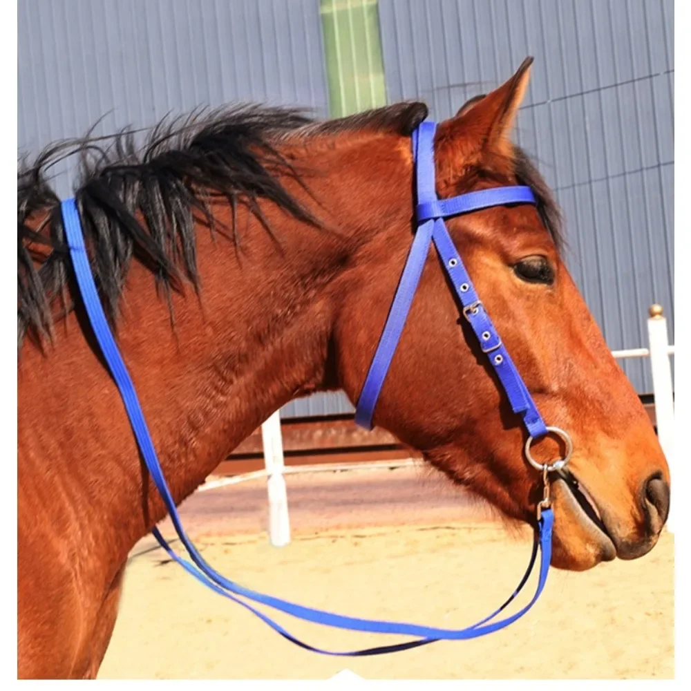 

Standard Thread Plate Riding Bridle Reins Suitable for Horses and Ponies