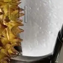 Household Manual Du…