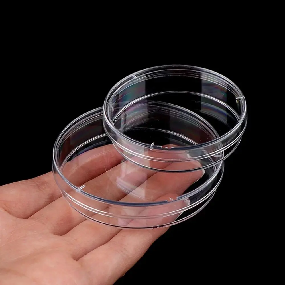 

School Supplies Transparent 55x15mm with Lids Plastic Bacteria Culture Dish Clear Petri Dish Petri Dishes Sterile Petri Dishes