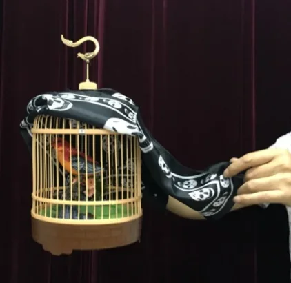 Floating Bird Cage Magic Tricks One Man Floating Effect Flying Dove Cage Magia Stage Street Illusions Gimmicks Mentalism Props