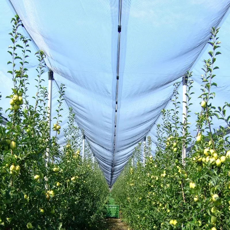Anti-UV Hail Net HDPE 60gsm 5x5mm Vineyard Ap ple Tree Orchard Protection Netting