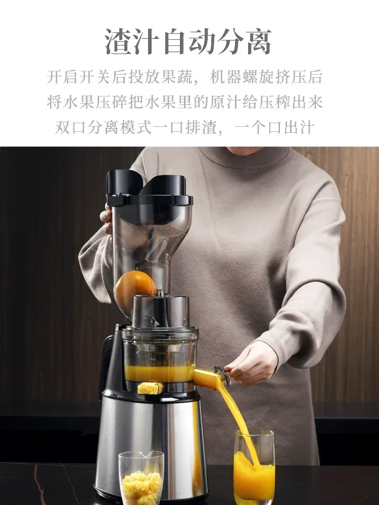 220V German Syrup Juicer Commercial High Capacity Juice Residue Separation Multifunctional Fried Fruit Stainless Steel