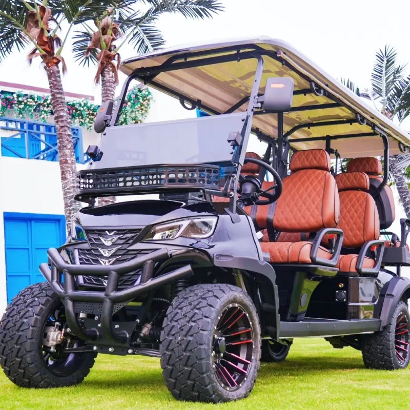 OEM Lithium Battery Utility Vehicles Off Road Lifted Street Legal Electric Golf Hunting Buggy Cart