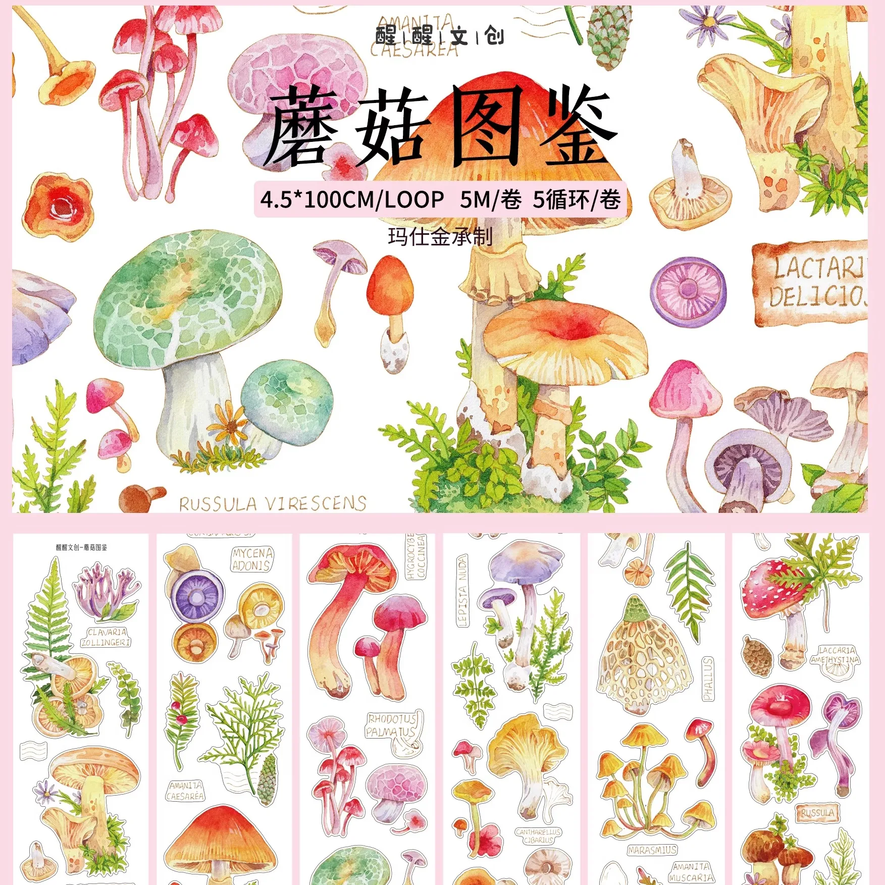 

Mushroom Encyclopedia Awakening Plant Mushroom Die Cut Tape Sticker Aifei Watercolor Hand-painted