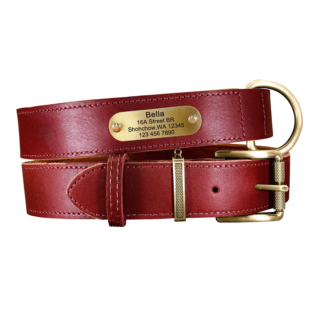 Personalisierte Hundehalsband-Leine aus echtem Leder, langlebige Hundehalsbänder, Gehbleine, Seil, frei mit Gravur für kleine, mittelgroße und große Hunde – Detail 10