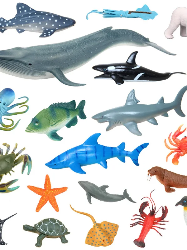 Reatic Marine Anima…