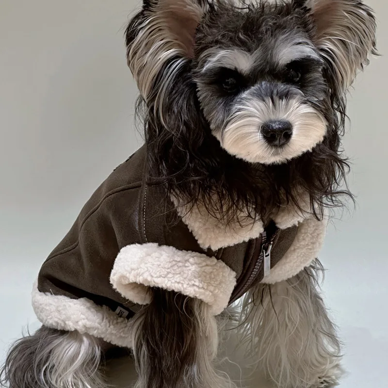 Pet Dog Hoodie Jacket with Vest for Autumn and winter, Perfectly Fits Small Breeds like Shih Tzus, Pekingese, and Bichons