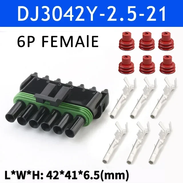 6P Female Single