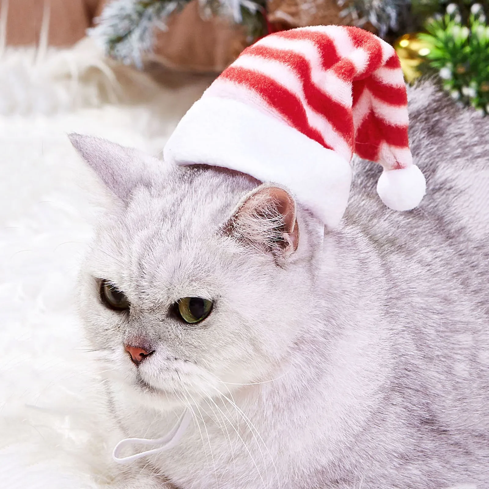 Pet Cat Dog Christmas Hat Cap Puppy Dog Accessories for Small Dogs Costume Hats for Cats Dog Costumes Pet Supplies