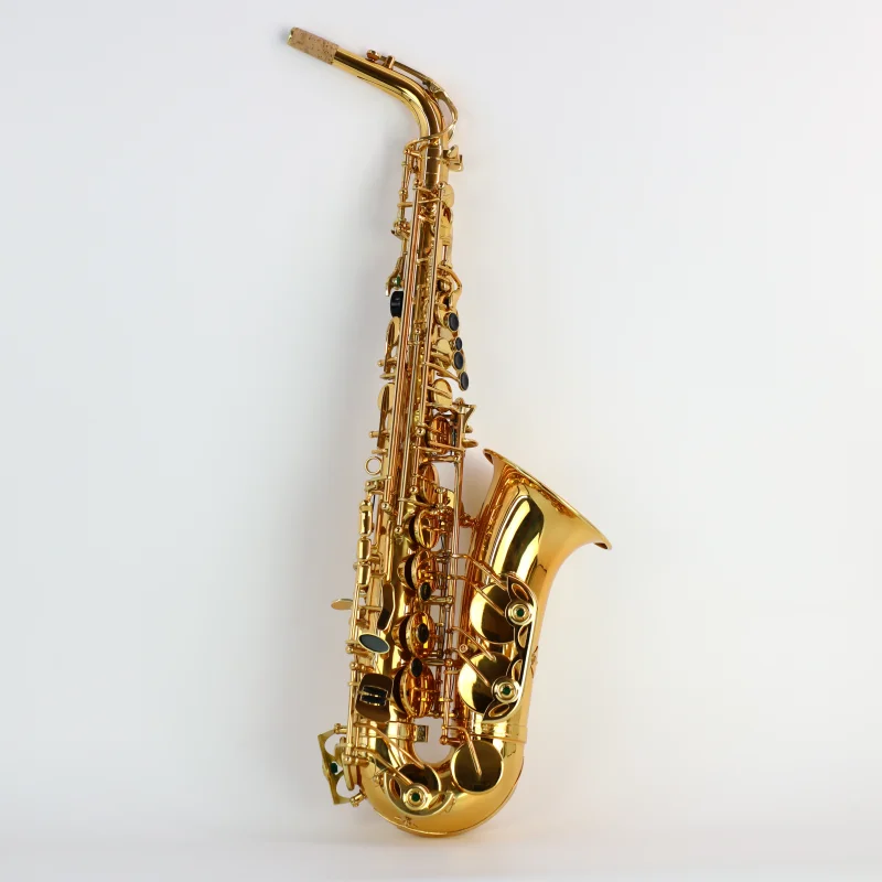 

Beginners, Adults, Middle aged and Elderly, General Professional Performance, Grading Exam, Mid tone, E-tone Saxophone, High end