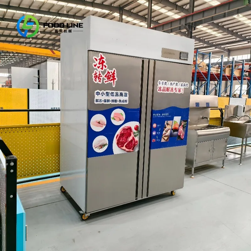 Customized Automatic Meat Thawing Cabinet Easy Operation 0-20 Temperature Control 2 Year Warranty Multi Voltage For Restaurant