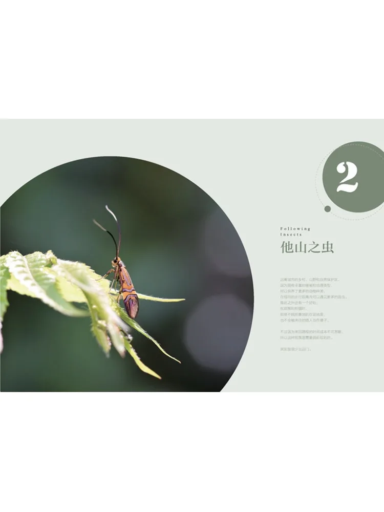 Book-Winshare Follow the Insects