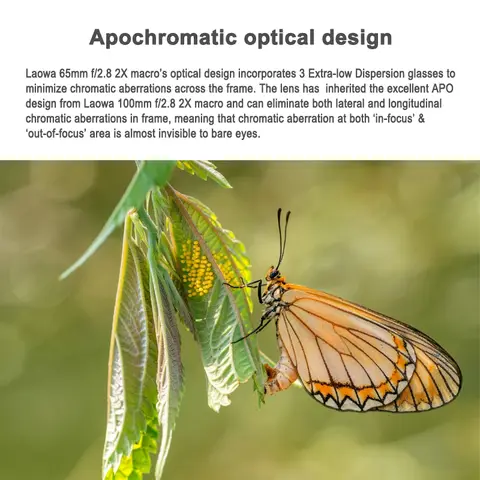 10 best sales कैनन एक्सटेंडर EF 2X - №10