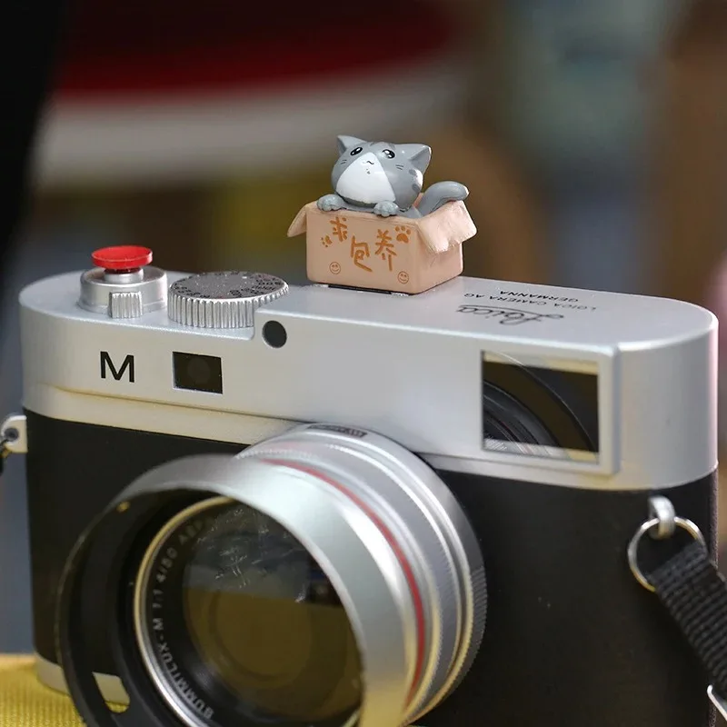 Cartoon Cat Hot Shoe Protection Cover SLR Camera Hot Shoe Cap Dustproof Cute Cartoon Photography for Canon R10 Fujifilm XT3