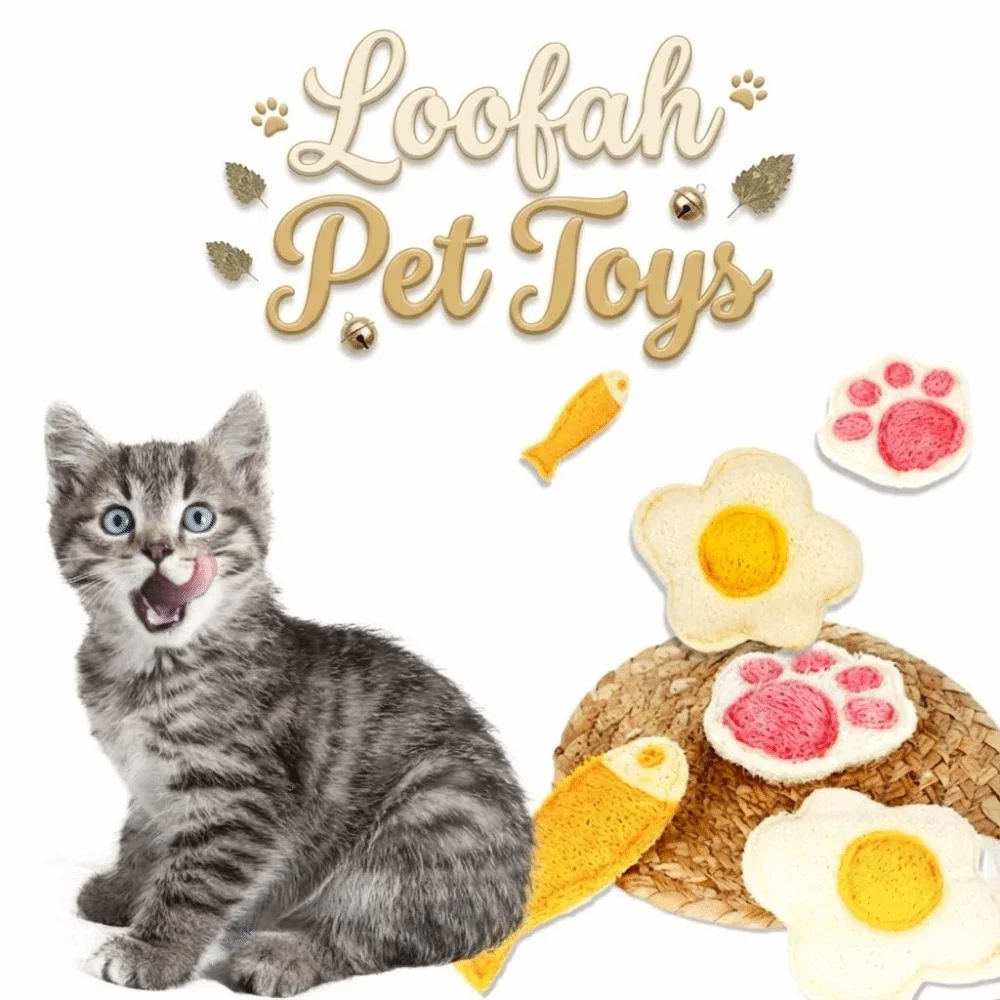 Dental Care Natural Loofah Cat Chew Toys Teething Comfort Healthy Interactive Kitten Toys Enrichment Loofa Dental Cat Toys