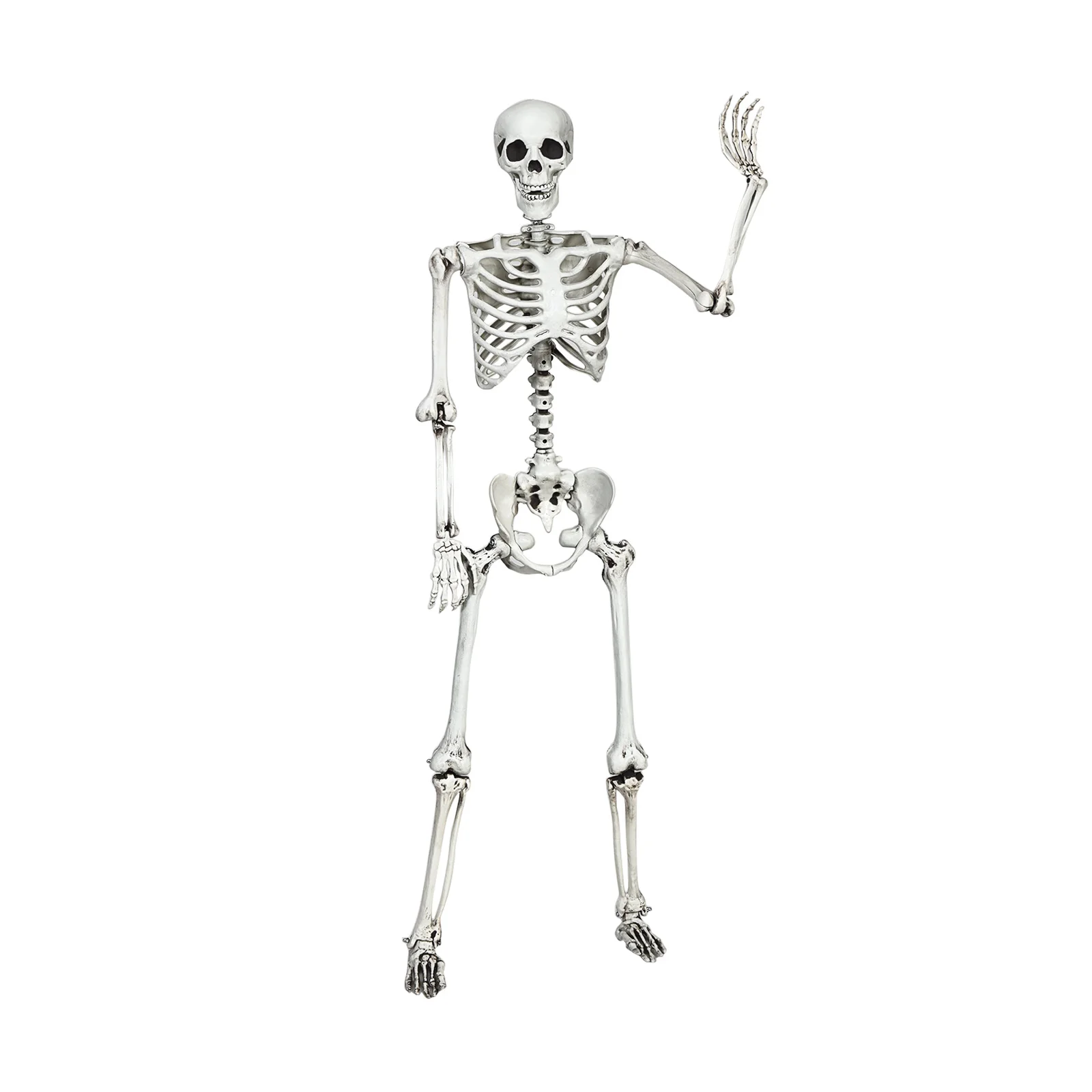 

63 Inches Halloween Skeleton, Life-Size Realistic Human Bones, PP Material, Seven Adjustable Joints (White)