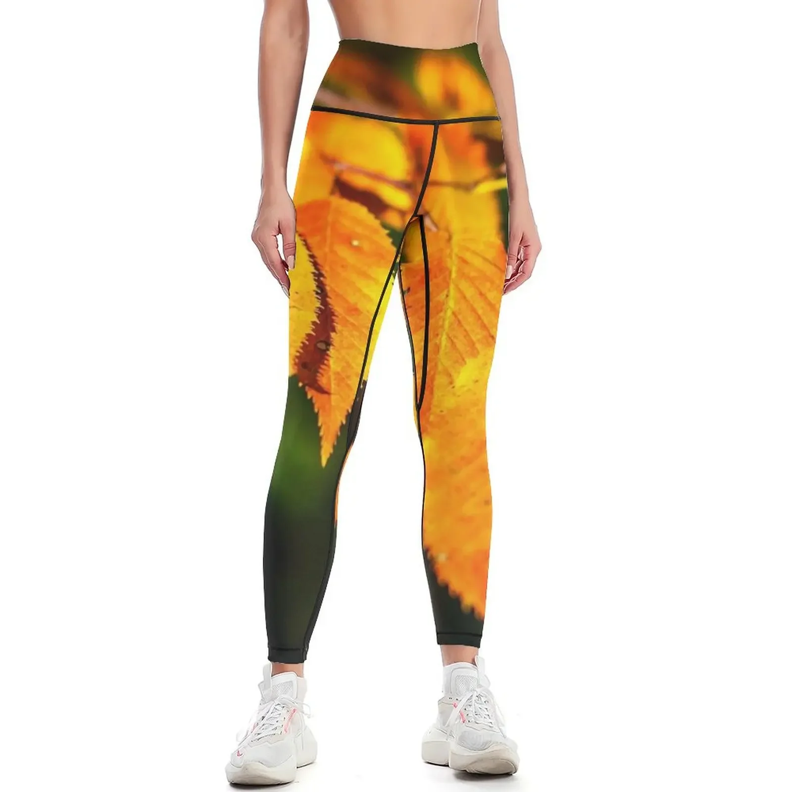 

Autumn Leaves 2 Leggings Legging sexy woman joggers for Women's push up Training pants Womens Leggings