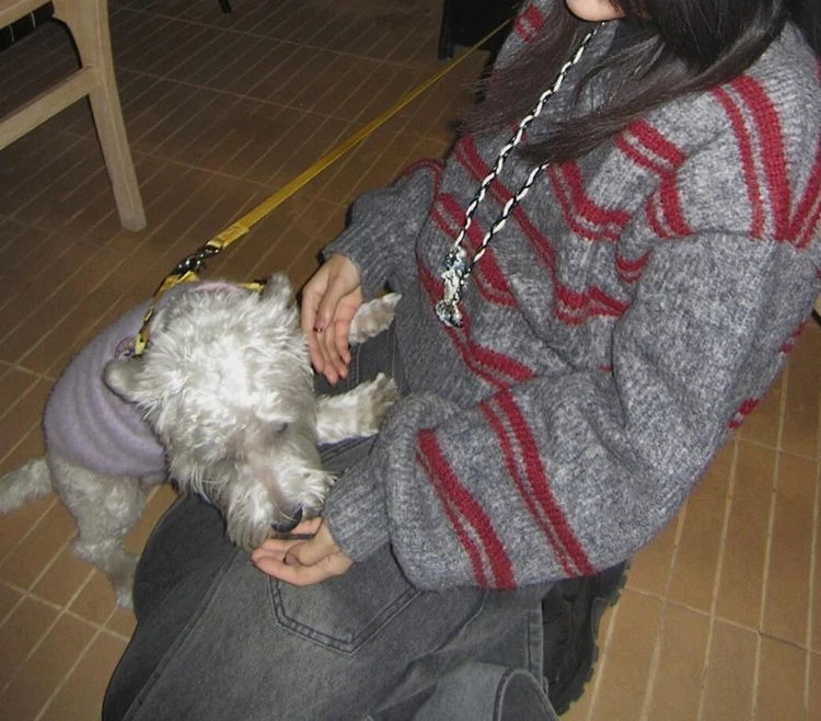 الرجعية محبوك المرأة الشتاء التباين مخطط سترة برقبة على شكل حرف V فضفاضة قصيرة الأكمام الطويلة