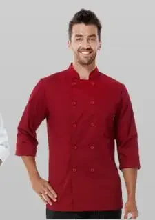 Uniforme de Chef d'automne pour hommes, vestes de cuisinier, vêtements de travail, chemise de Restaurant, hauts blancs