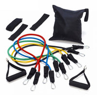 Factory wholesale 11 Pcs Resistance Fitness Band Set with Stackable Exercise Bands Multi-function Professional Fitness Equipment