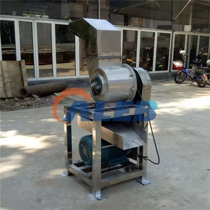 2026Industrial Pomegranate Cashew  Lemons Spiral Juice Machine Grape Strawberry Crushing Machine