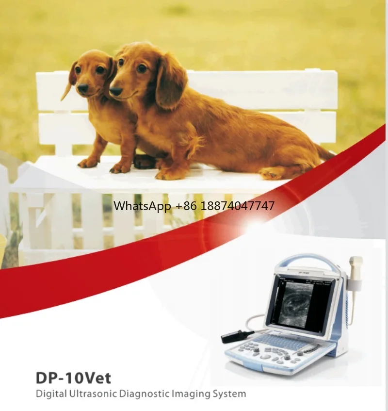 Full Digital LED Professional dp10 vet black white ultrasound veterinary use  veterianary scanner