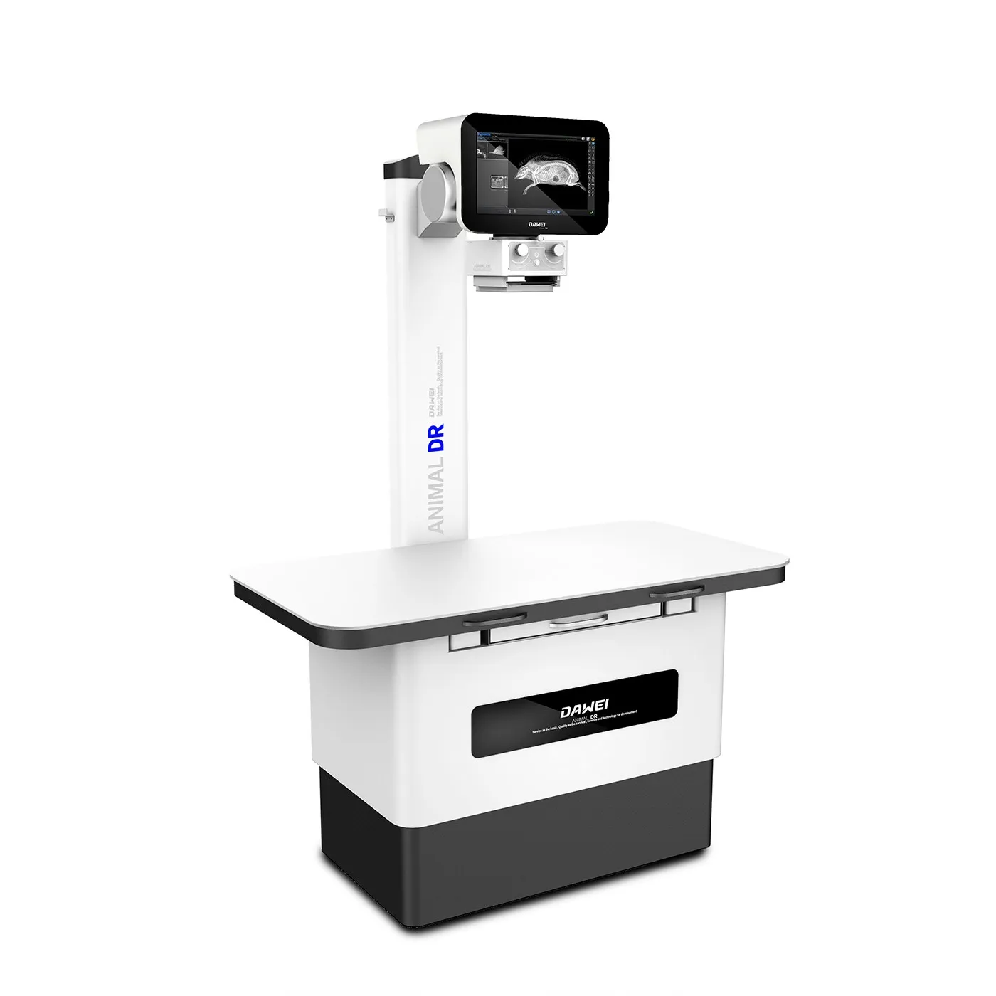 Factory Vet X- Ray Machine 125ma Cheap Price Analogue X   For Pet Clinic