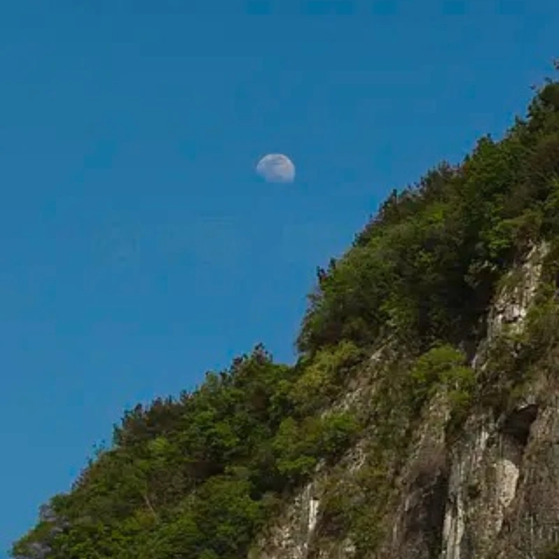 

IFlight BLITZ PDB Pro Support 80A 4-8S / 55A 4-6S LIPO Input 5V 3A /12V 2A Dual BEC 330A Distribution Board for RC FPV Drone