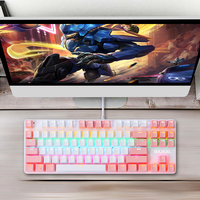 BAJEAL 87 Keys Wired Mechanical Keyboard Mixed Light Mechanical Keyboard with Mechanical Blue Switch Suspension Button Keyboards