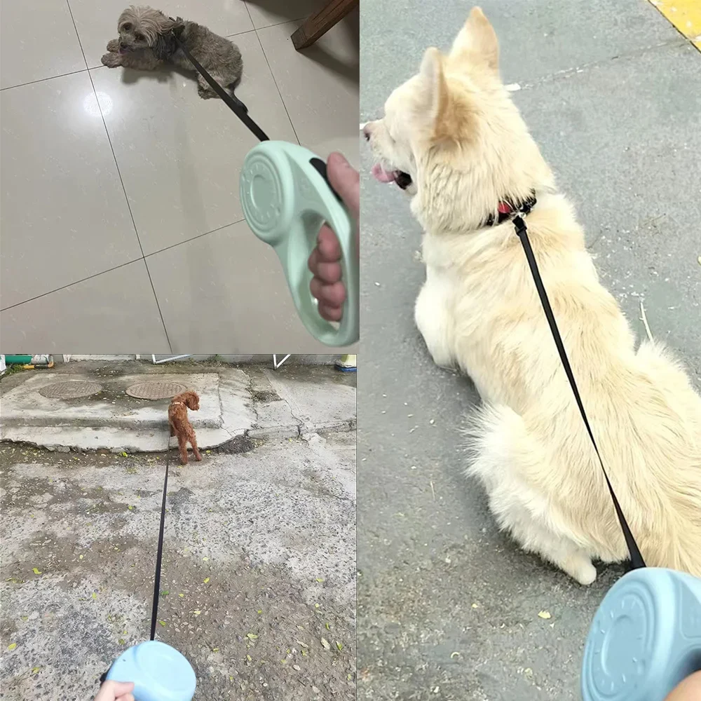 3/5 m Hundeleine für kleine mittelgroße Hunde, Katze, einziehbares Nylonseil, Welpe, Gehen, Roulette, Traktionsleine, Chihuahua, Haustierzubehör – Detail 12