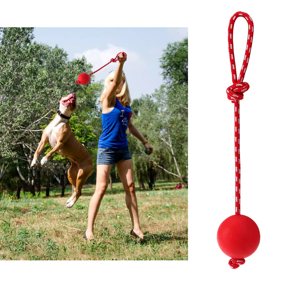 Safe Ergonomic Interactive Toy Dog Ball On String For Training Exercising Pets Solid Rubber Ball With Rope Launcher Thrower