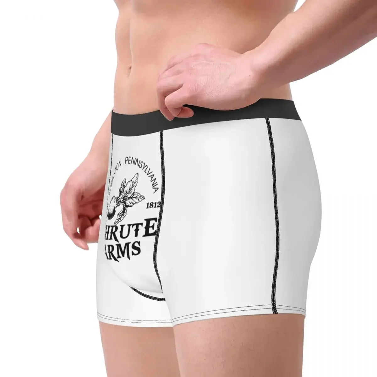 Funny Boxer Schrute Farms The Office Shorts Panties Man Underwear Tv Show Breathable Underpants for Male