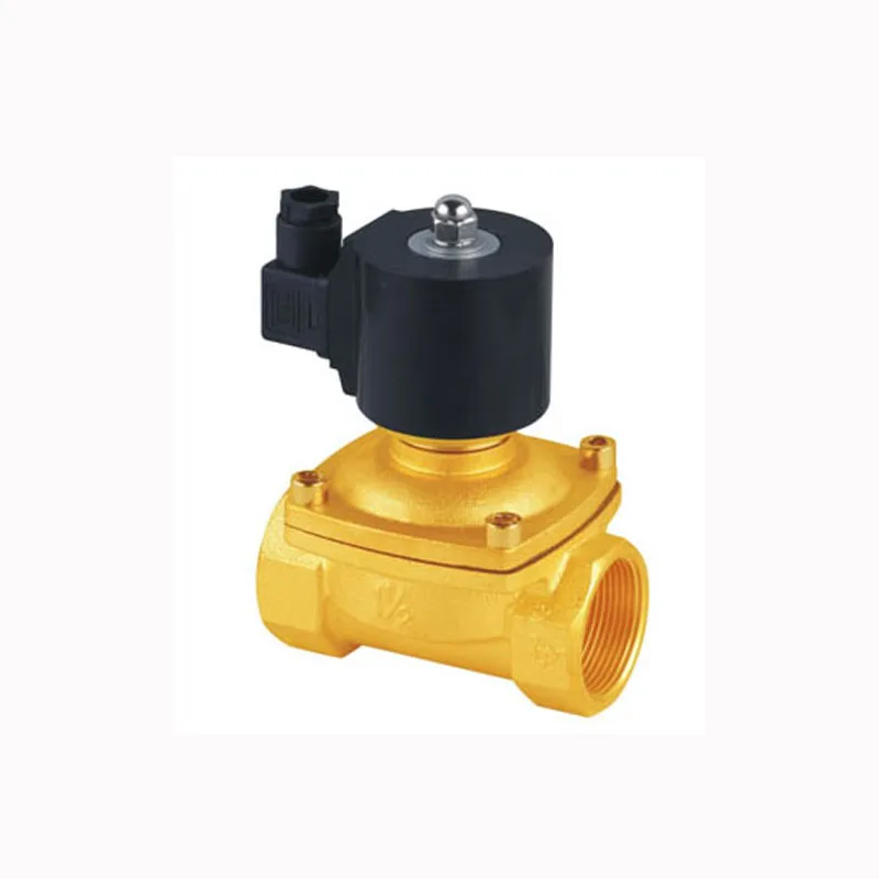 

IP67 Class Solenoid Valves Model 2W400-40-D G1 1/2'' Ports High Quality 12-240V Voltages