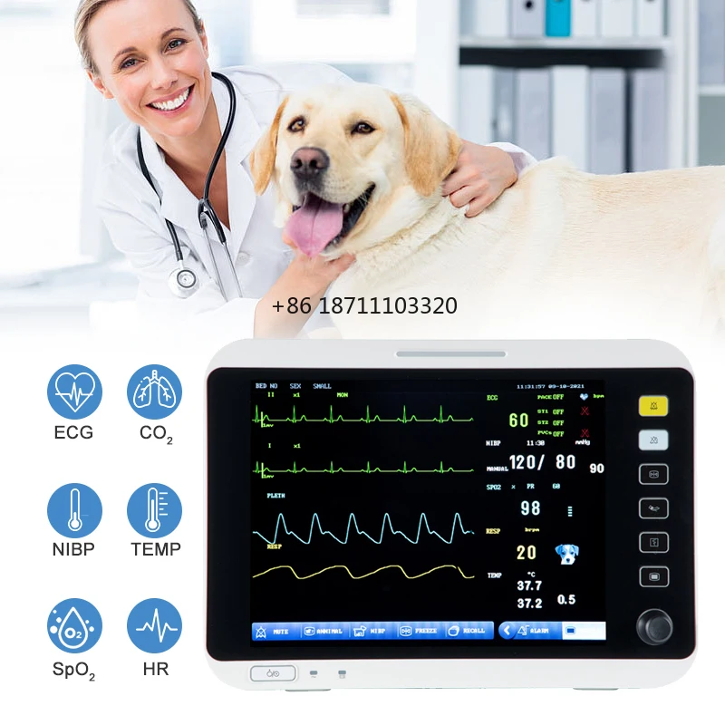 Pet Clinic Vet Multipara Etco2 Monitor Ecg  Resp  Nibp, Multiparametro Portable  Veterinary Monitor With Multilingual Operation