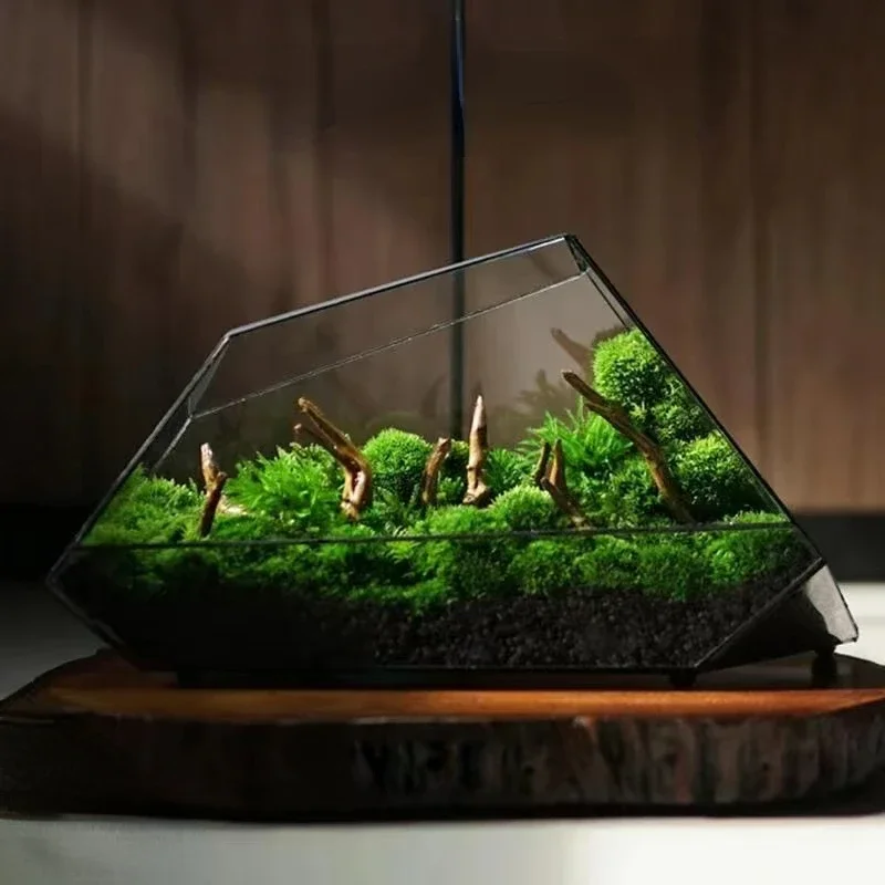 

Micro Landscape Planter Moss Rainforest Tank Geometric Glass Flower Room Irregular Ecological Vase Succulent Water Plant Vase