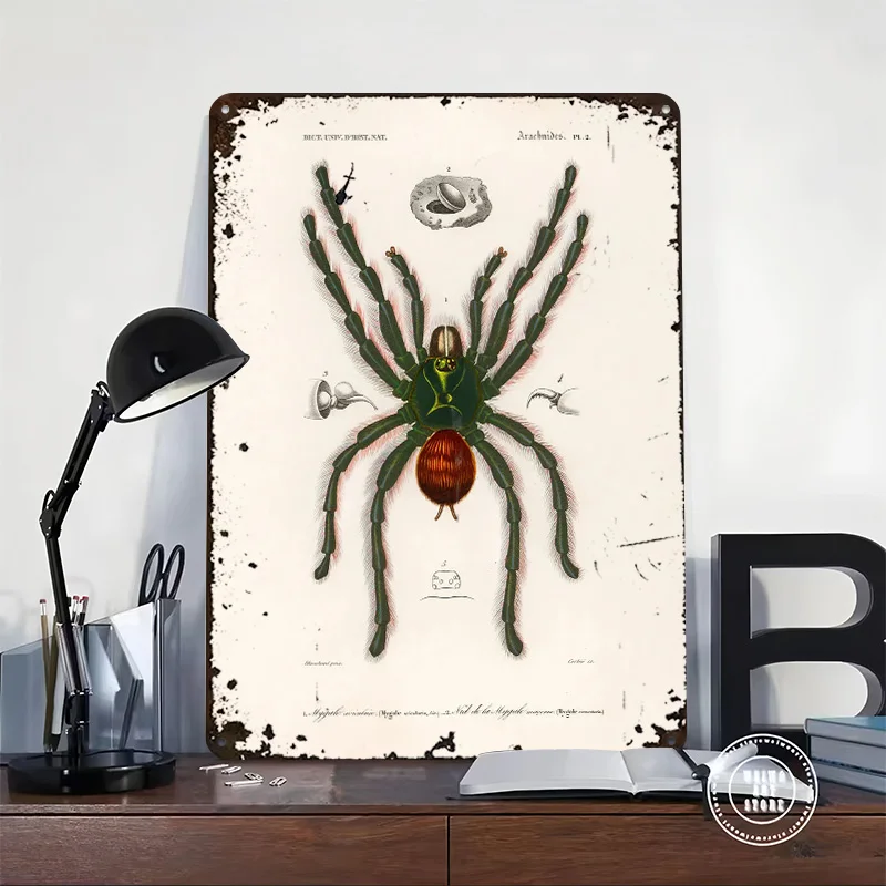 Vintage Tarantula Printing Poster Customized Retro Wall Art Vintage Metal Signs for Mancave Room Decoration Home Decorations