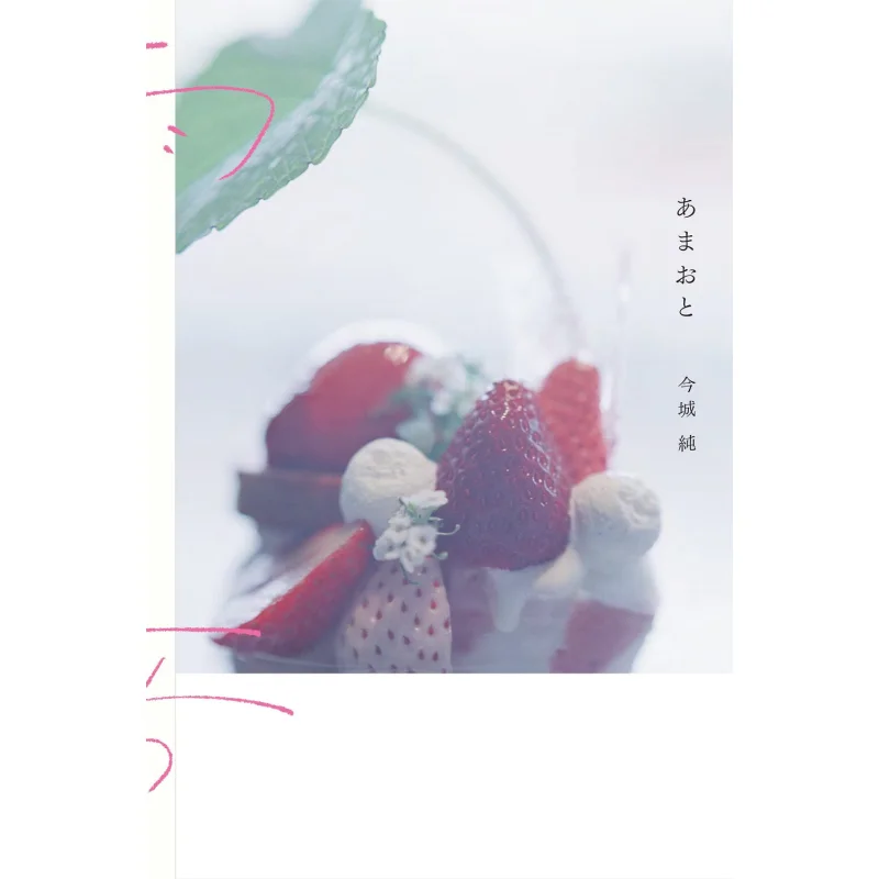 

Photo Collection Of Jun Imashiro Jin Cheng Jun Qinghuan She 9784861528989 Book