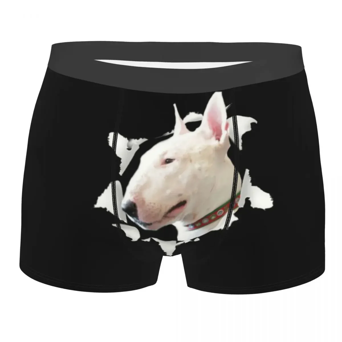 Fashion Funny Bull Terrier Dog Boxers Shorts Panties Men's Underpants Stretch Pet Briefs Underwear