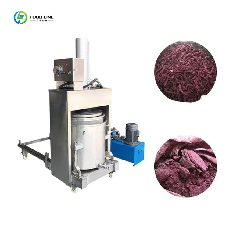High Quality Fruit and Vegetable Juice Press Extractor Juice Cold Press Machine Iced Grape Wine Juicer Price FL Customized