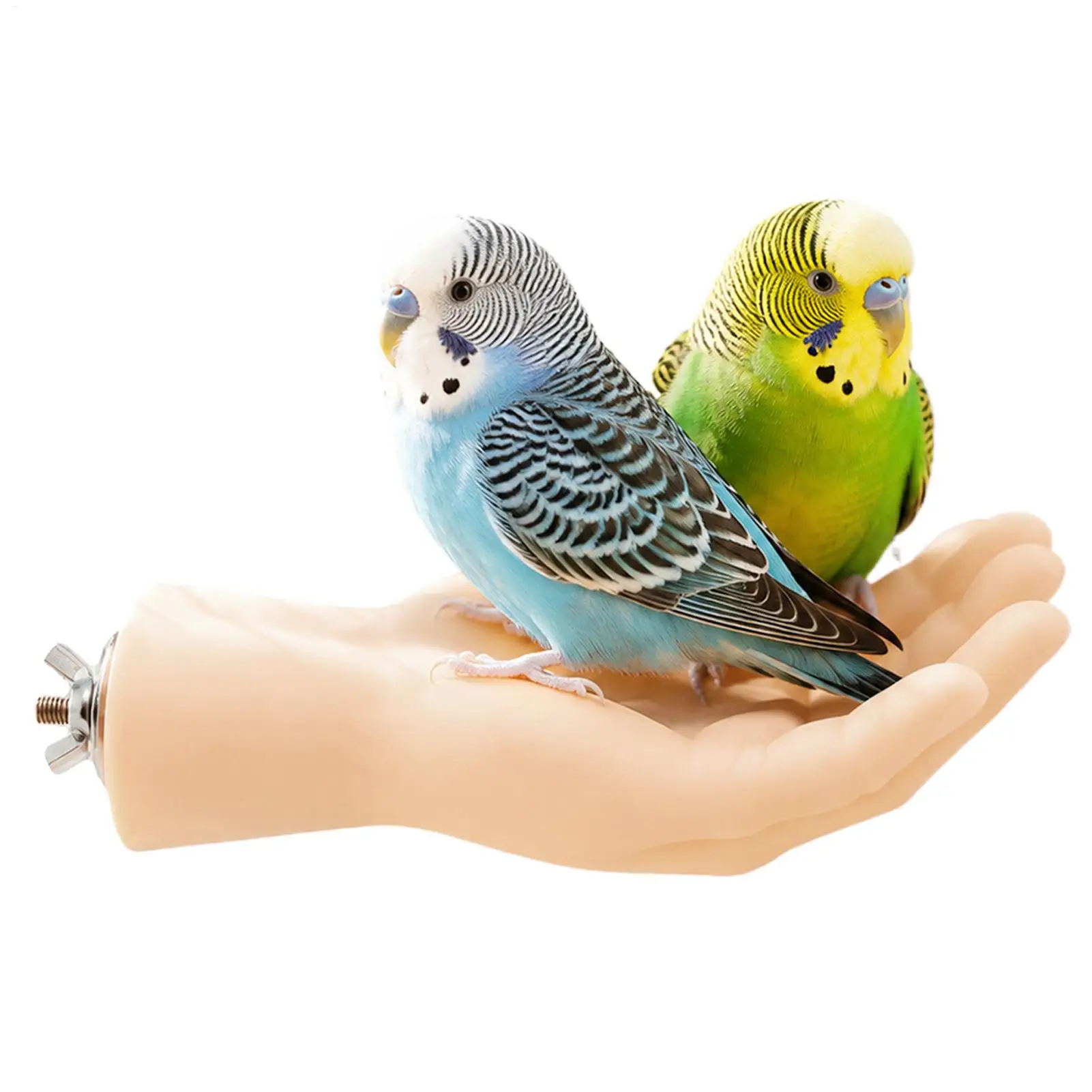 Perchoir en forme de main pour oiseaux, résistant aux morsures, accessoire de désensibilisation pour cage d'oiseaux, idéal pour les perroquets, les cockatiels et l'entraînement des animaux de compagnie.